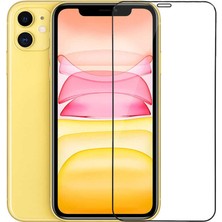 Albatech Apple iPhone 12 Mini Go Des Seramik Ekran Koruyucu ve Kablo Koruyucu