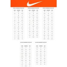 Nike Jordan Accses Erkek Ayakkabı AR3762-006