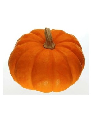 Köy Tohumları 20 Adet Tohum Nadir Kuğu Su Kabağı Tohumu Kabak Tohumu Sürpriz Hediye Tohum