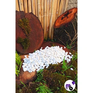 Mor Balon 4 kg  1 - 2 cm Dolomit Taş Tamburlanmış Beyaz Dekoratif Taş