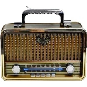 Polygold PG-4401 Nostaljik Radyo