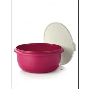 6 Litre Miksim Saklama Kabı