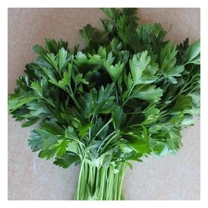 Köy Tohumları 100 Adet Tohum Geniş Yaprak Maydonoz Tohumu Sebze Tohumu