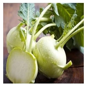 Köy Tohumları 30 Adet Tohum Alabaş Tohumu Yeşil Alabaş Sürpriz Hediye Tohum