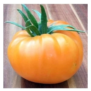 Köy Tohumları 20 Adet Tohum Tropikal Turuncu Domates Tohumu Tropikal Turuncu Domates Sürpriz Hediye Tohum