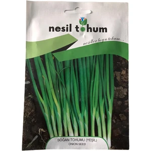 Nesil Tohum Yeşil Soğan Atalık Tohumu 3'lü