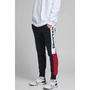 Jack & Jones Erkek Blok Eşofman Wıll Logo Blockıng Sweatpants - 12197199