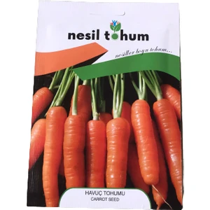 Havuç Tohumu