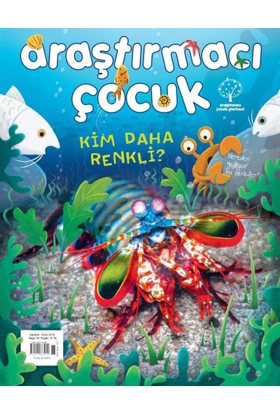 Araştırmacı Çocuk - İndirimli Paket 3