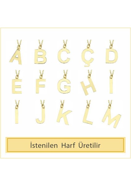 14 Ayar Altın F Harfli Kolye fiyatları