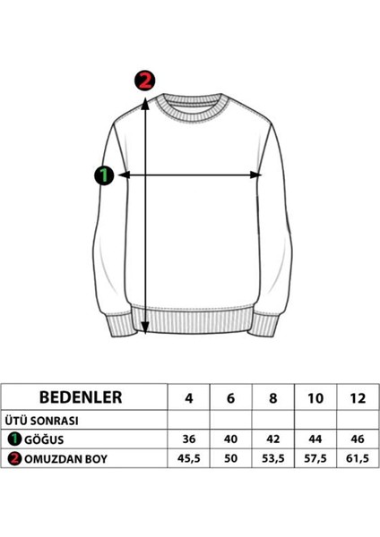 Toontoy Erkek Çocuk Kanguru Cepli Baskılı Sweatshirt modelleri