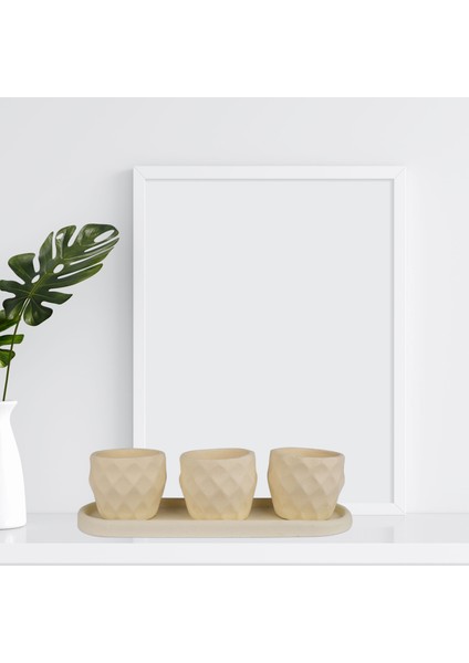 Eti Serisi Sumru Limon Sarısı 3 Lü Saksı Seti