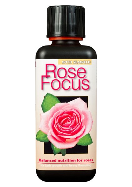 Rose Focus 300 ml