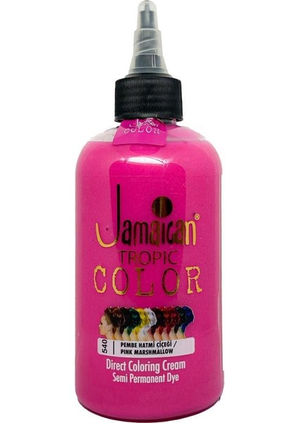 Color Saç Boyası Pembe Hatmi Çiçeği 250 Ml.
