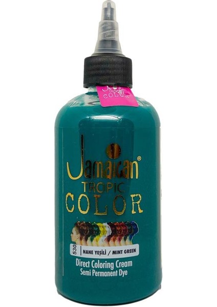 Color Saç Boyası Nane Yeşili 250 Ml.