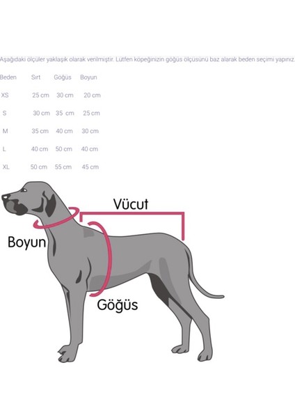 Brown Tedy Köpek Kıyafeti Montu