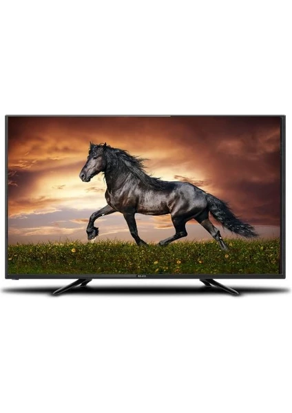 Q40GZT5000AND 40" 101 Ekran Uydu Alıcılı Full HD Smart LED TV