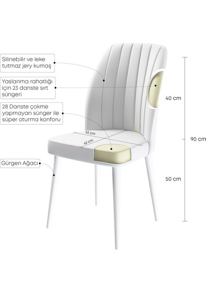 Concept Canisa Etra Serisi Gürgen Ayaklı   Sandalye , 4 Adet , Ayaklar Beyaz