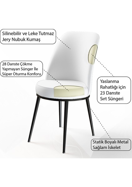 Concept Canisa Dexa Serisi Yemek ve Mutfak Sandalyesi , 4 Adet , Ayaklar Siyah