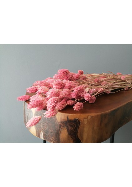 Kuru Çiçek Kuş Otu (Palaris Otu) Pembe