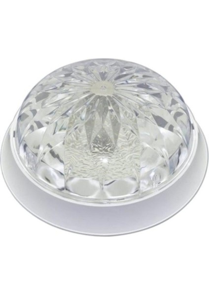 Tavan Armatürü 2 Duylu Trend Papatya