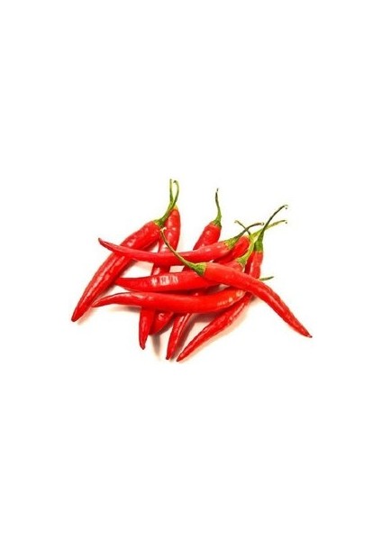 50 Adet Şili Biberi Tohumu Çok Acı Chili Biberi Tohumu Saksı Toprak Hediyemiz Sürpriz Hediye Tohumlu