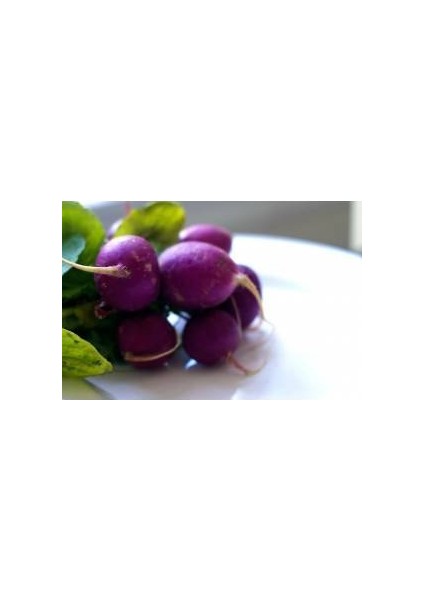 50 Adet Tohum Nadir Mor Turp Tohumu Sürpriz Sebze Tohumlu