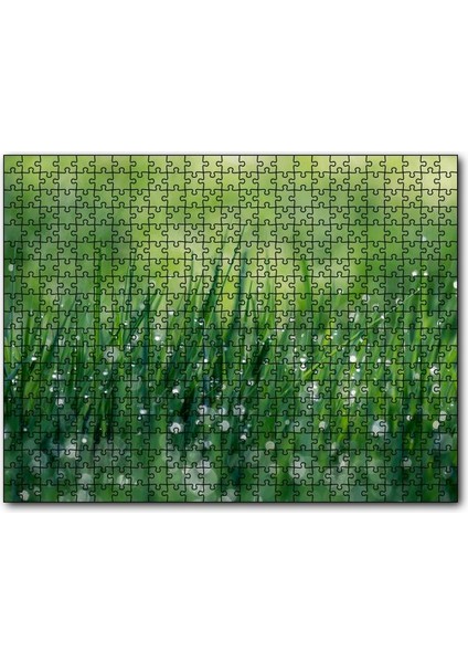 Cakapuzzle Çimenler ve Su Damlaları 255 Parça Puzzle Yapboz Mdf (Ahşap)
