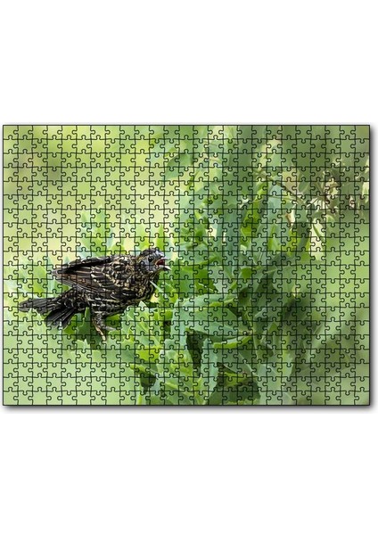 Cakapuzzle Yeşillikler Içinde Sığırcık Kuşu Görseli 1000 Parça Puzzle Yapboz Mdf(Ahşap)