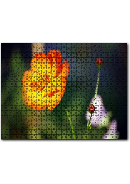 Cakapuzzle Yabani Portakal Çiçeği 1000 Parça Puzzle Yapboz Mdf(Ahşap)
