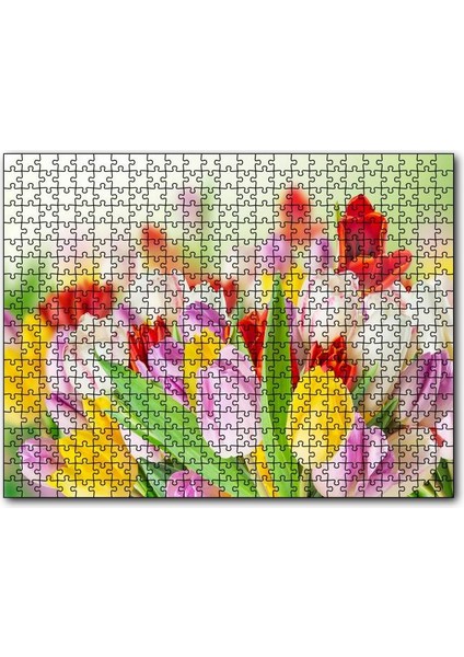Cakapuzzle Renkli Laleler Görseli 255 Parça Puzzle Yapboz Mdf (Ahşap)