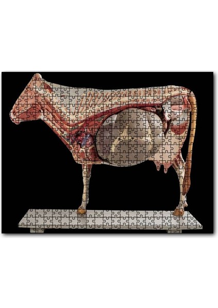 Cakapuzzle Ineğin Iç Organlarının Görseli 255 Parça Puzzle Yapboz Mdf (Ahşap)