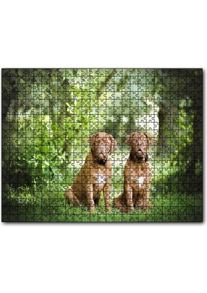 Cakapuzzle Yeşil Ağaçlar Arasındaki Kahverengi Boxerlar 255 Parça Puzzle Yapboz Mdf (Ahşap)