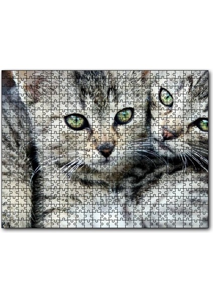 Cakapuzzle Tekir Yavru Kediler 500 Parça Puzzle Yapboz Mdf (Ahşap)