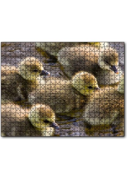 Cakapuzzle Gölde Yüzen Sarı Ördek Yavruları 500 Parça Puzzle Yapboz Mdf (Ahşap)