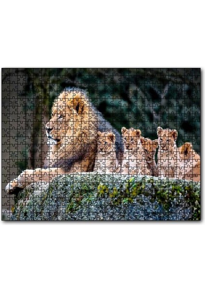Cakapuzzle Kayanın Üzerinde Erkek Aslan ve Sevimli Yavruları 1000 Parça Puzzle Yapboz Mdf(Ahşap)