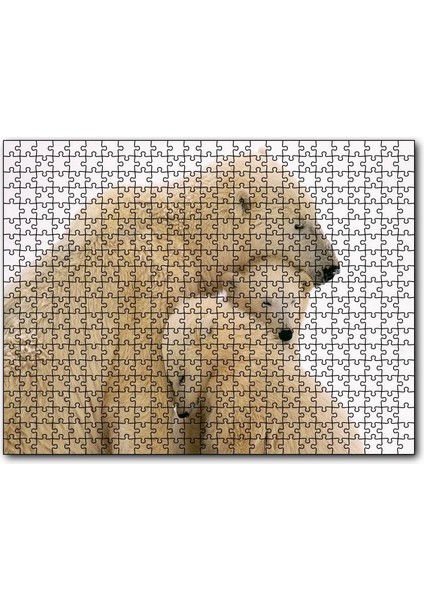 Cakapuzzle Kutup Ayısı ve Sevimli Yavruları Kar Arkaplan 255 Parça Puzzle Yapboz Mdf (Ahşap)