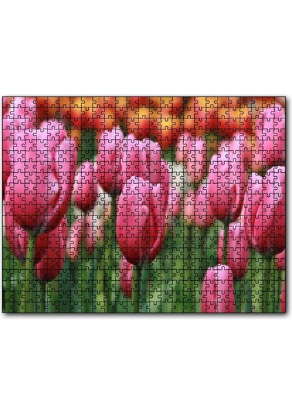 Cakapuzzle Pembe Lale Tarlası Görseli 500 Parça Puzzle Yapboz Mdf (Ahşap)