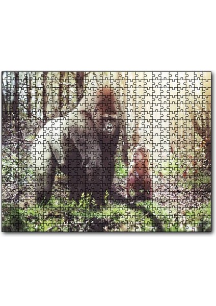 Cakapuzzle Çocuk ve Goril Görseli 255 Parça Puzzle Yapboz Mdf (Ahşap)