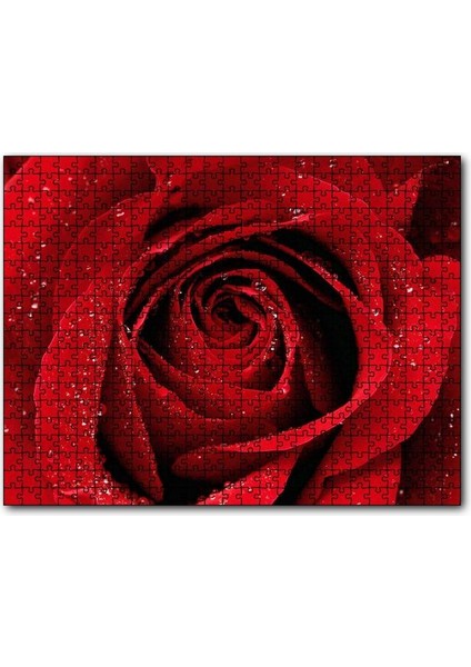Cakapuzzle Yağmur Damlası ve Güzel Gül Fotoğrafı 255 Parça Puzzle Yapboz Mdf (Ahşap)