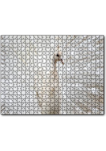 Cakapuzzle Beyaz Tavus Kuşu Görseli 120 Parça Puzzle Yapboz Mdf (Ahşap)