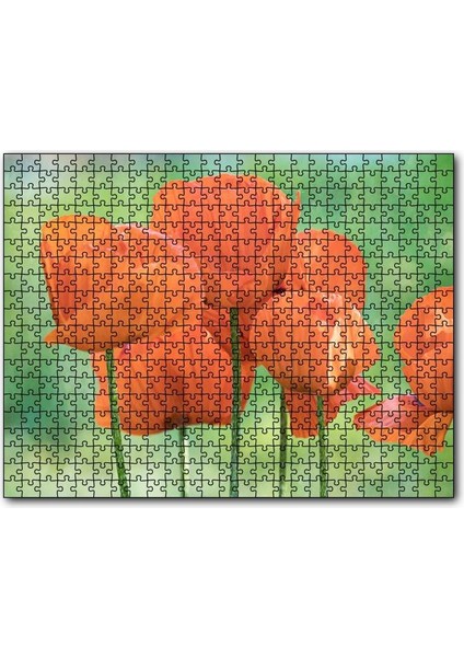 Cakapuzzle Turuncu Gelincikler 120 Parça Puzzle Yapboz Mdf (Ahşap)