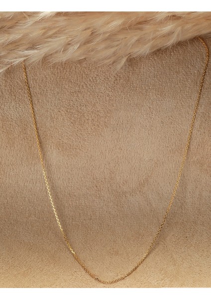 14 Ayar Altın Zincir Kolye fiyatları