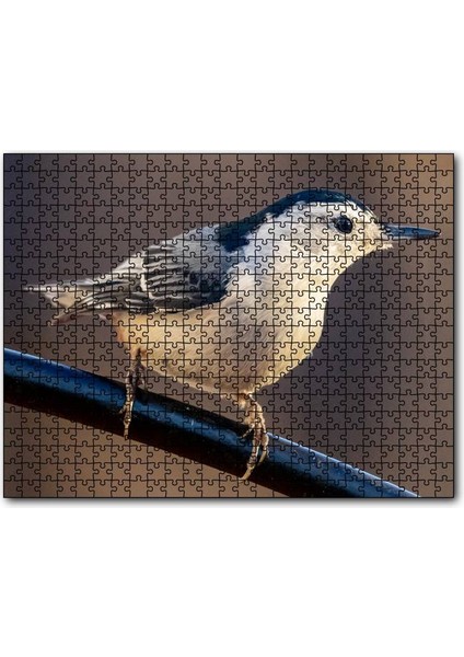 Cakapuzzle Beyaz Göğüslü Sıvacı Kuşu Görseli 120 Parça Puzzle Yapboz Mdf (Ahşap)