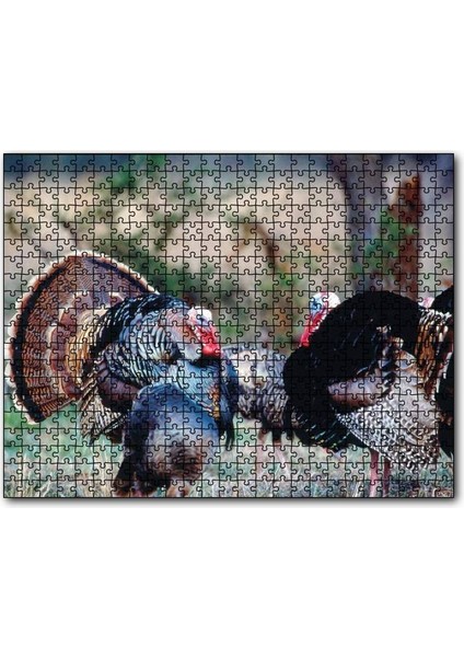 Cakapuzzle Kabaran Iki Hindi 255 Parça Puzzle Yapboz Mdf (Ahşap)