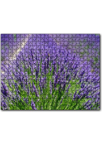 Cakapuzzle Lavanta Tarlasında Lavantalar 500 Parça Puzzle Yapboz Mdf (Ahşap)