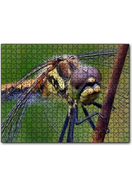 Cakapuzzle Dişi Yusufçuk Makro Çekim 120 Parça Puzzle Yapboz Mdf (Ahşap)