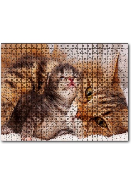 Cakapuzzle Sevimli Tekir ve Minicik Yavrusu Yakın Çekim 500 Parça Puzzle Yapboz Mdf (Ahşap)