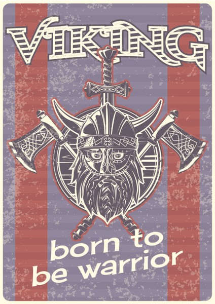 Viking Poster