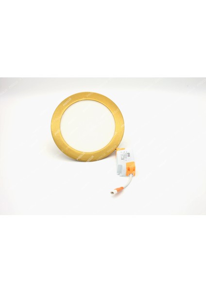 Altın Simli Renkli Kasa 6W Slim Panel LED Spot 3500K 6500K
